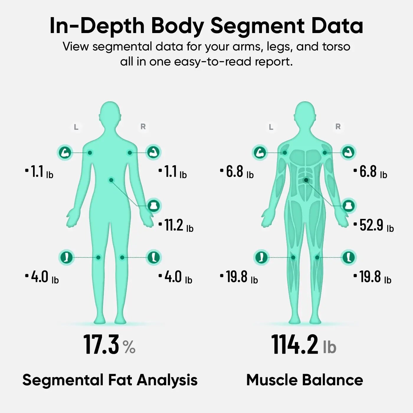 Wyze Scale Ultra BodyScan - Image 6